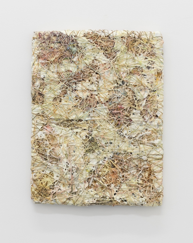 A hairy textural painting on twine